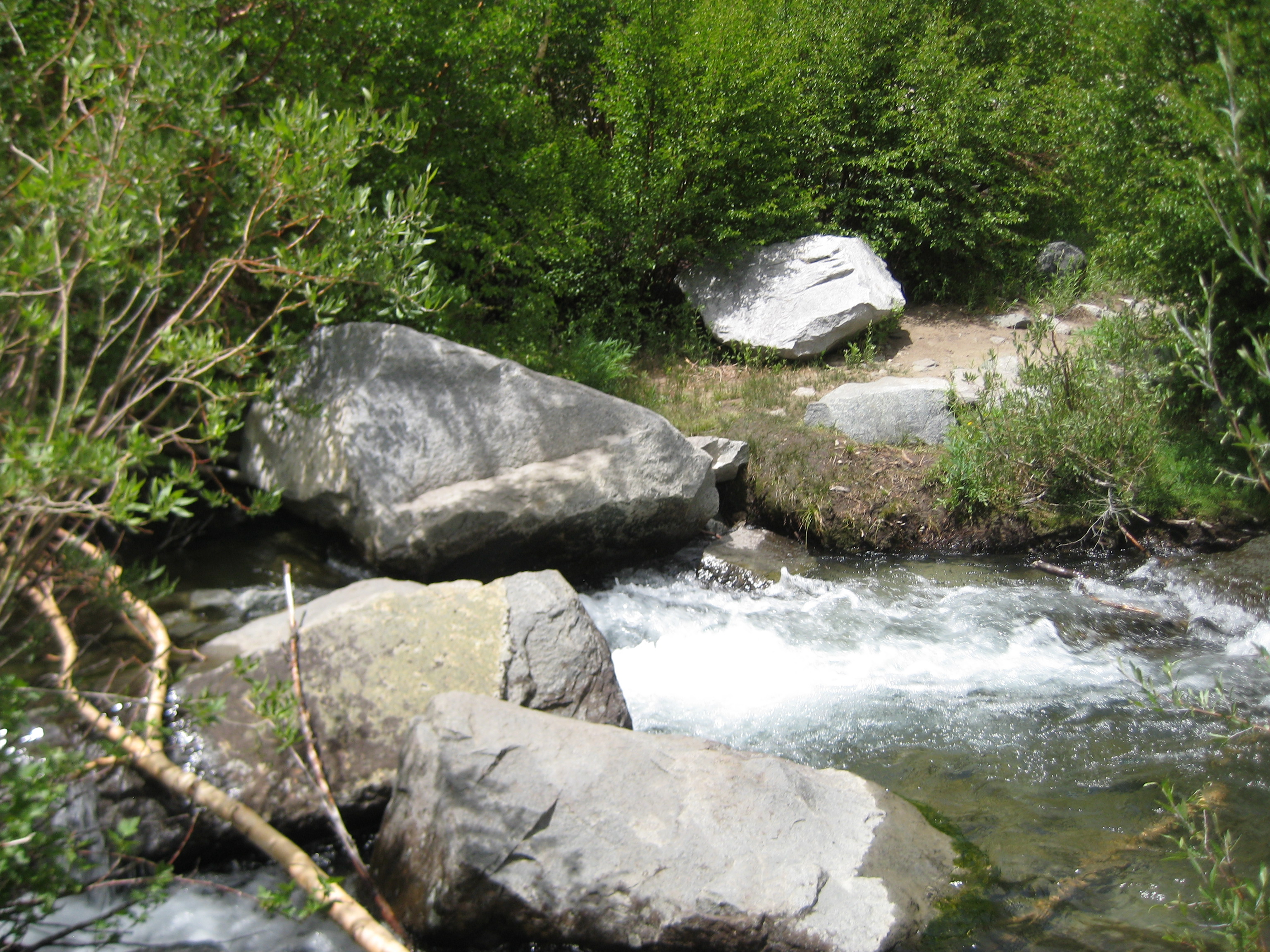 looking back at the creek crossing