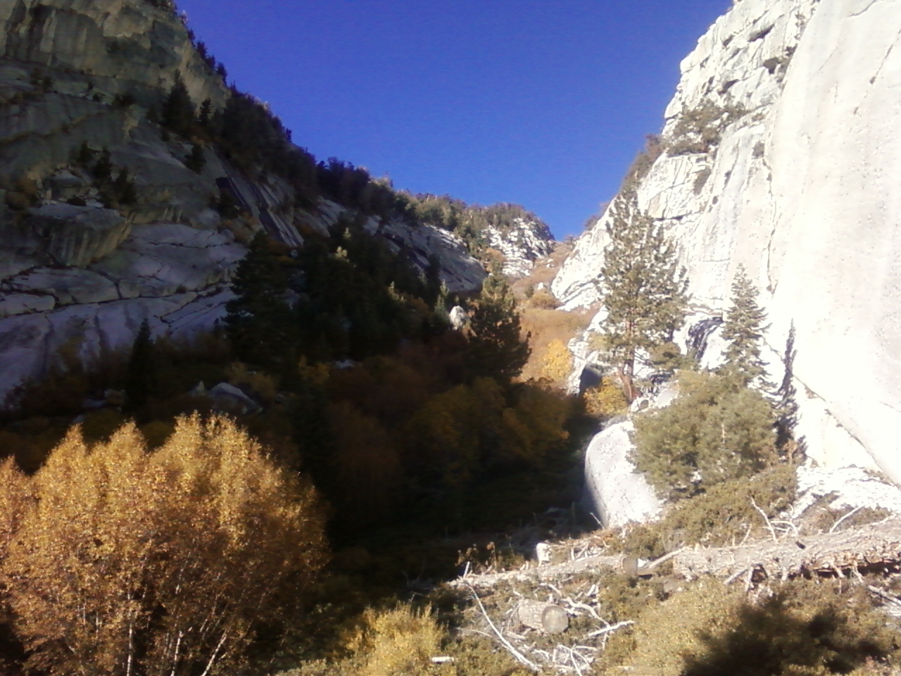 fall colors abound at the rugged North Fork of Lone Pine Creek