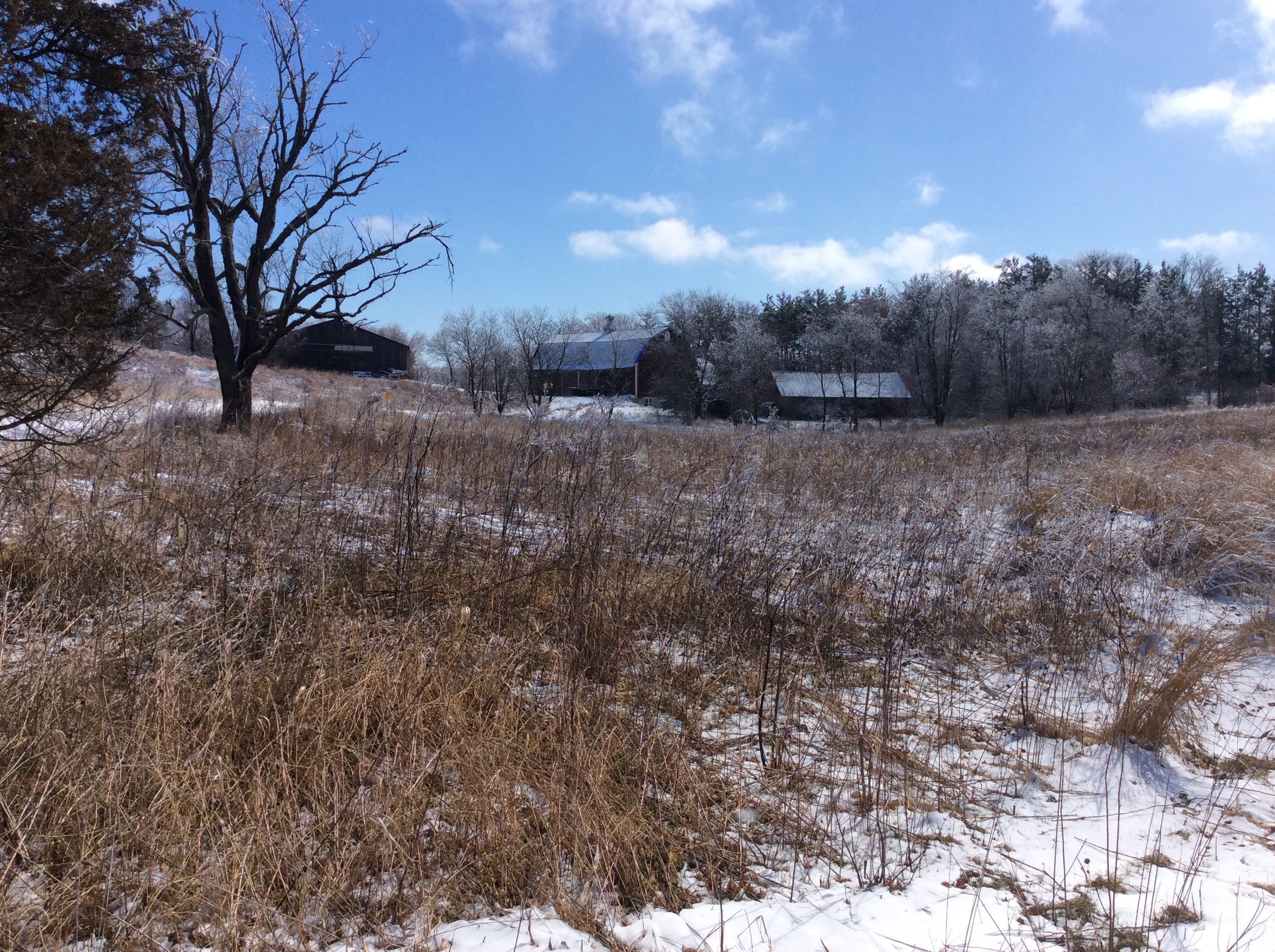 farmhouse and barn