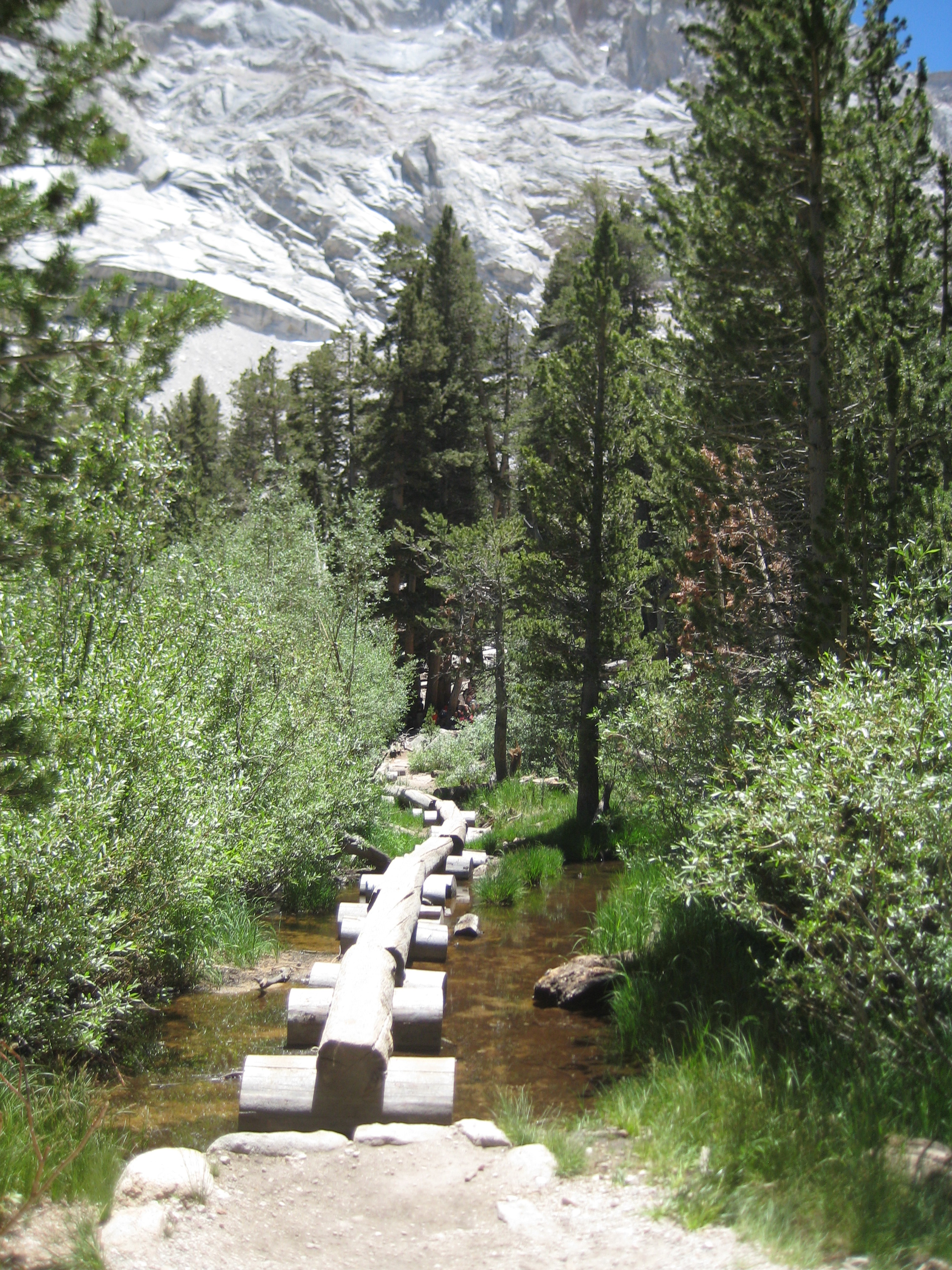 natural log formation on the trail