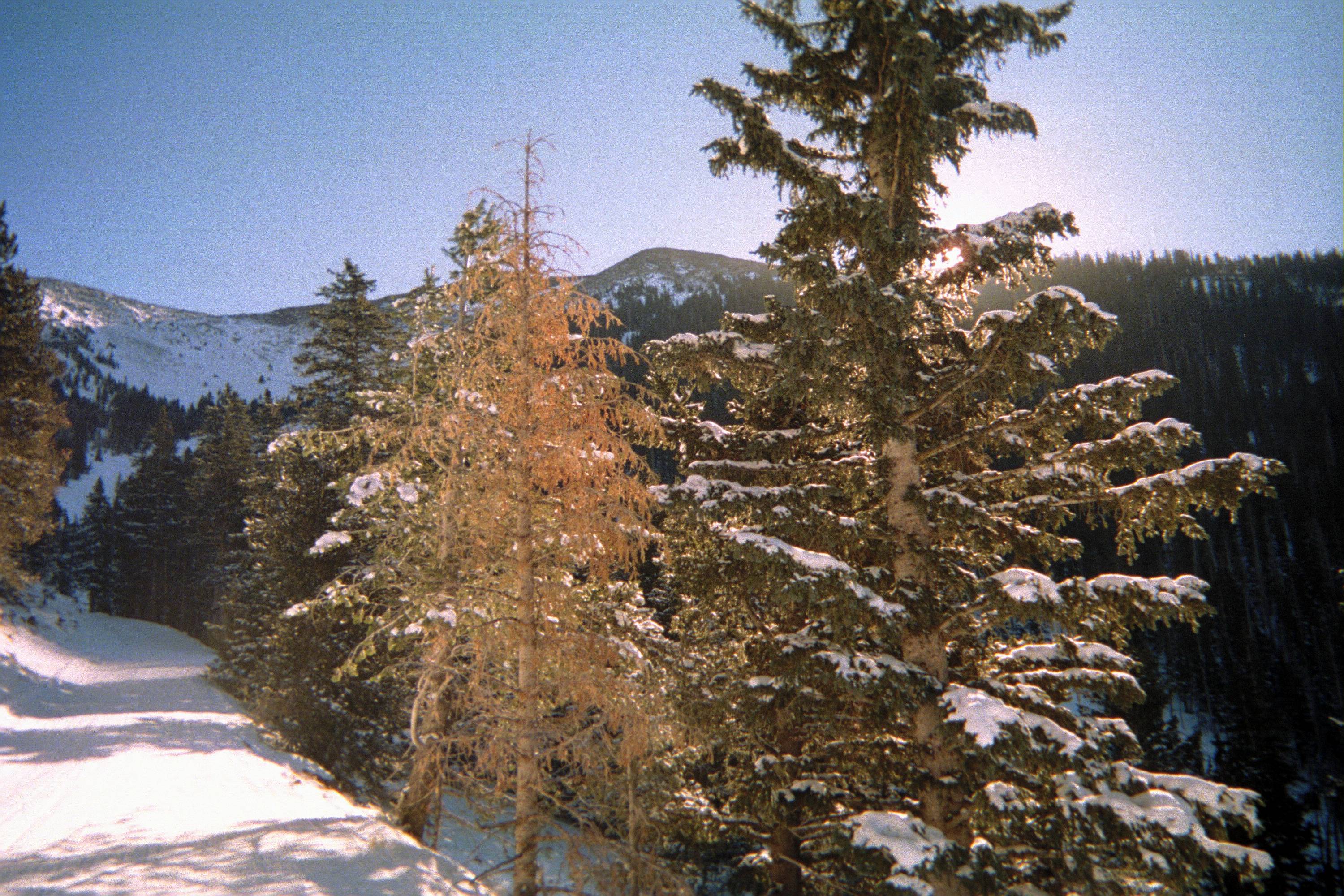 hiking up the groomed 4x4 road