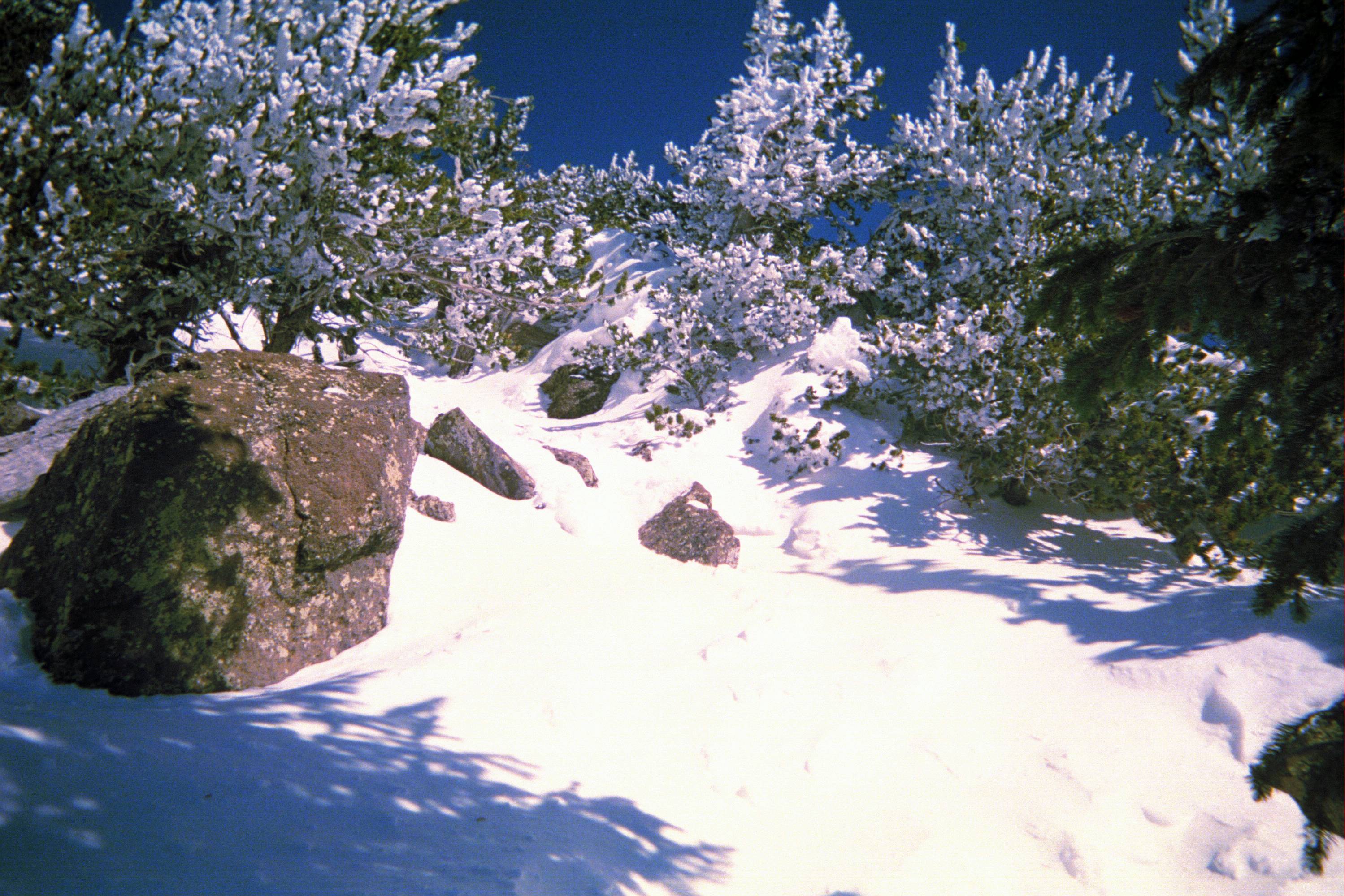 encountered some deep snow on this hike!