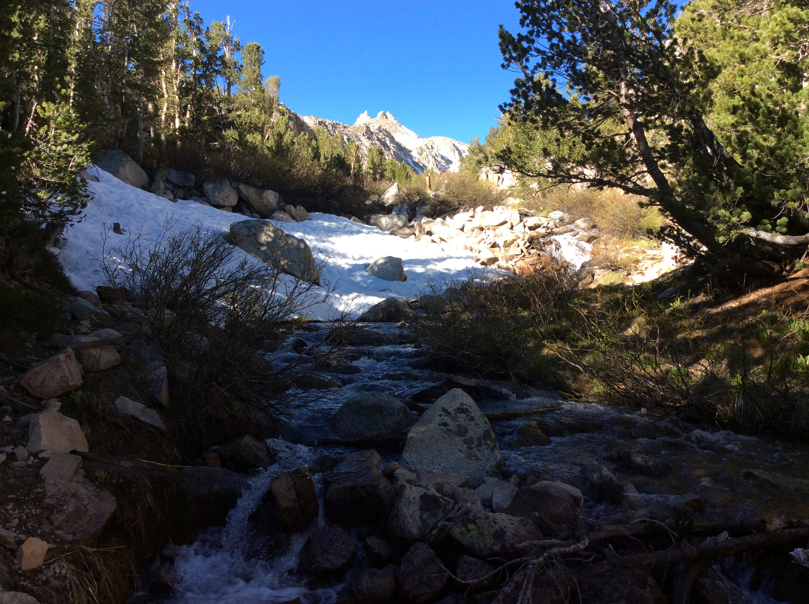 heading up past Lamarck Lakes