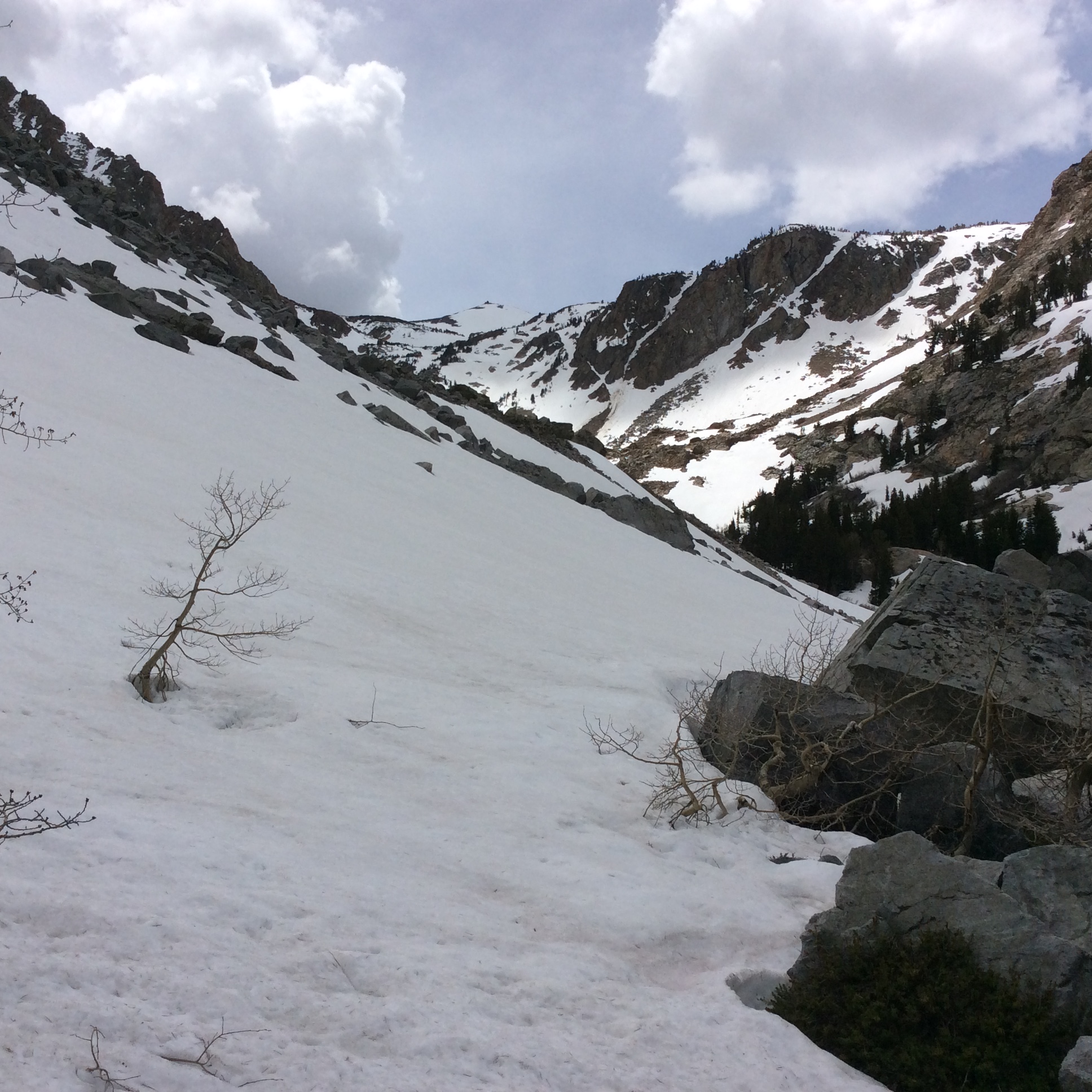 time to strap on the skis at Fern Lake